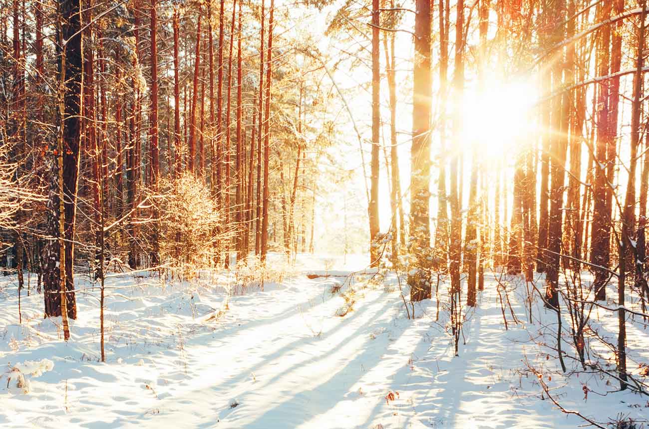 Holiday For Your Health