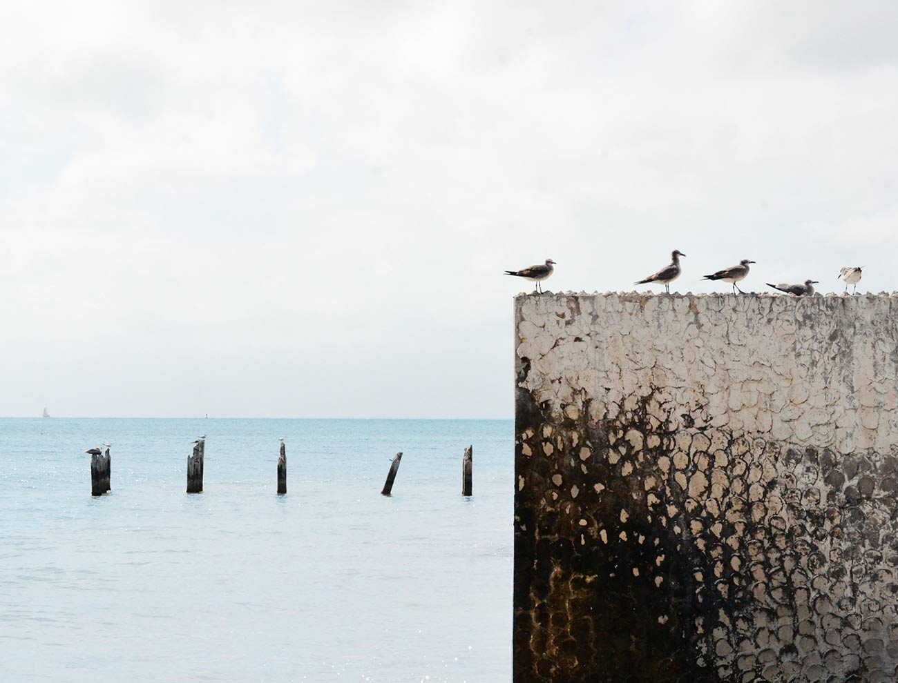 The Healing Power Of Calm