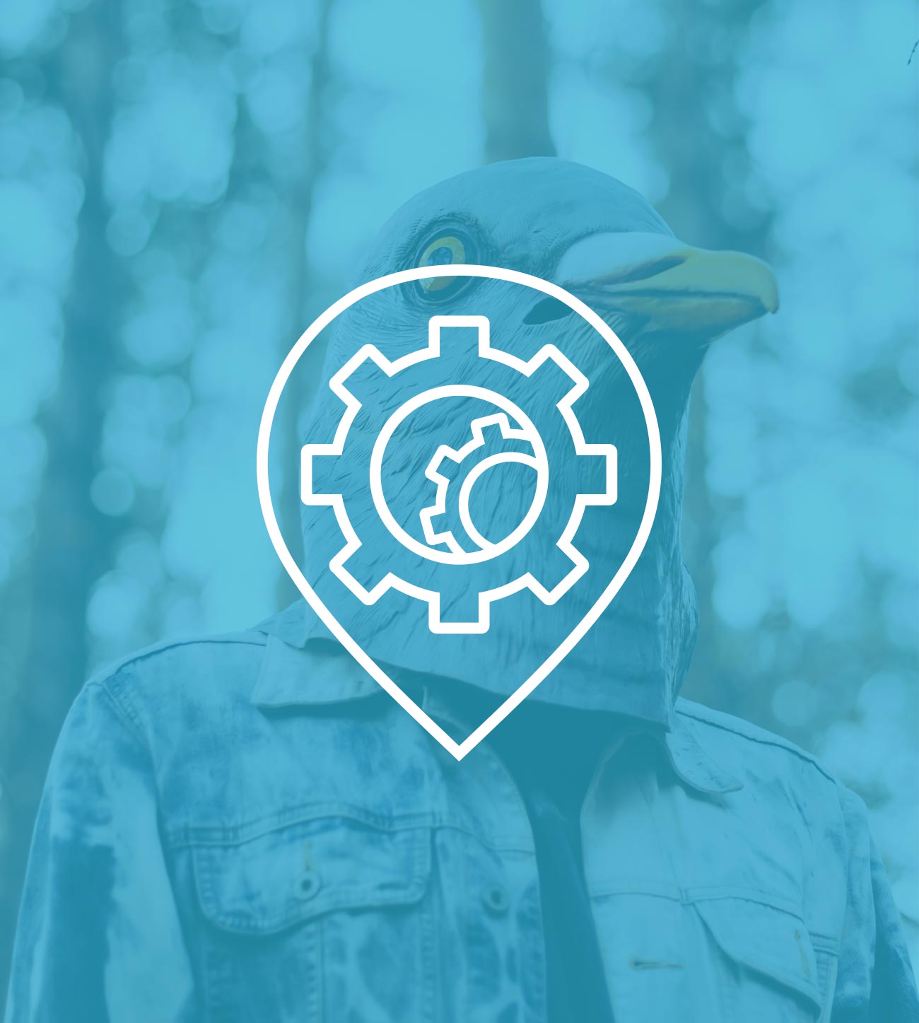 Back To The Great Outdoors