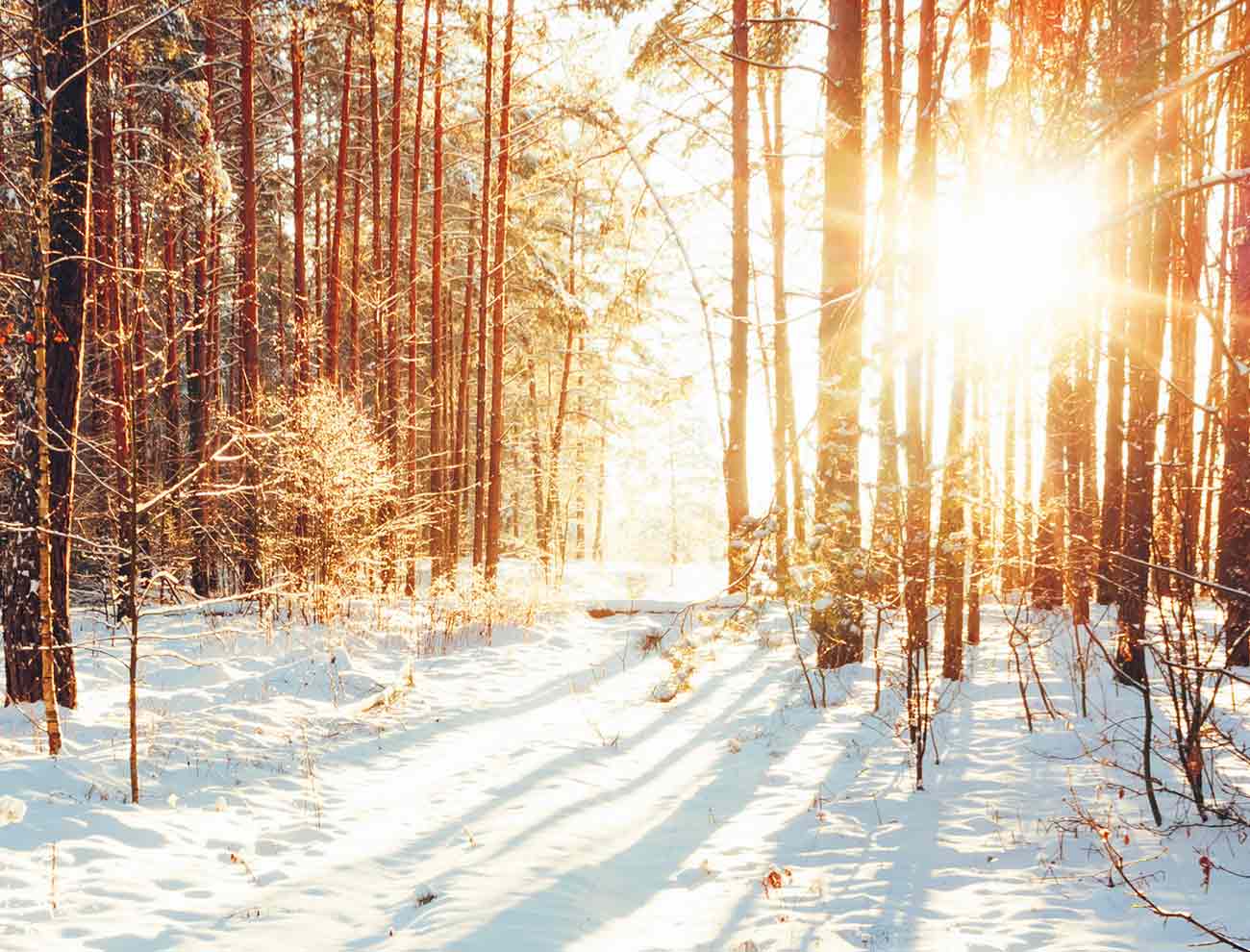 Back To The Great Outdoors